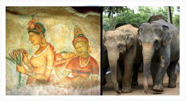 Sri Lanka Hotels