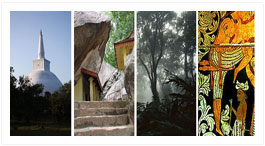 Places to visit